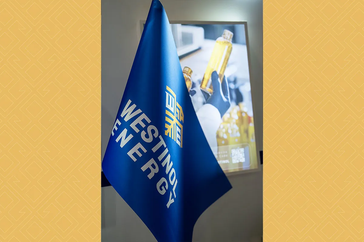 Bolat-2025-westinol, westinol, bolat 2025, bolat 2025